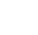 icon of a globe