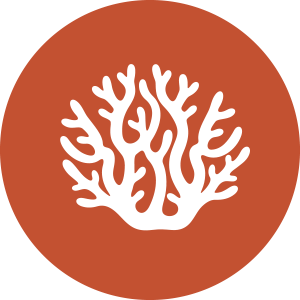 icon of coral in orange circle