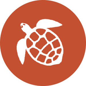icon of turtle in orange circle