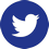 icon of twitter logo