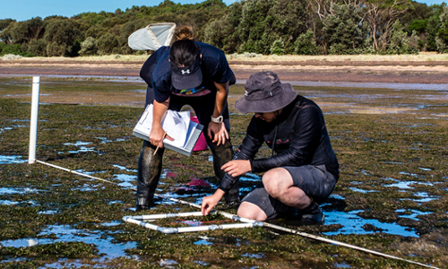 Haloms researchers testing the grounds water