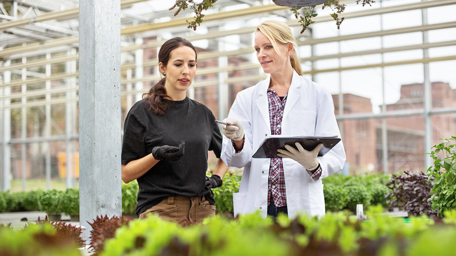 two women researchers working in a green house 