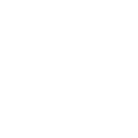icon of a turtle