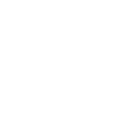 icon of a woman's face