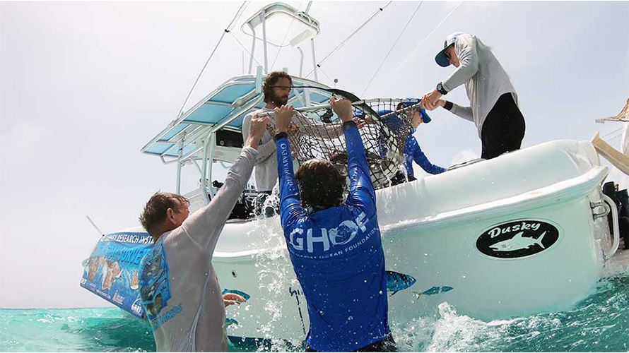 Research boat with men holding net