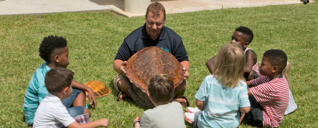 Children and instructor in grass with turtle shell.
