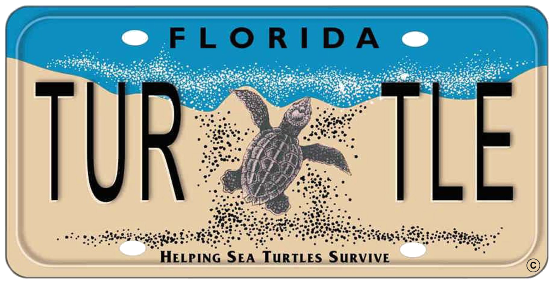 Sea Turtle License Plate Logo