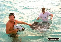 Divers documenting stingray research