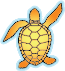 Broward County Sea Turtle Conservation Program Logo