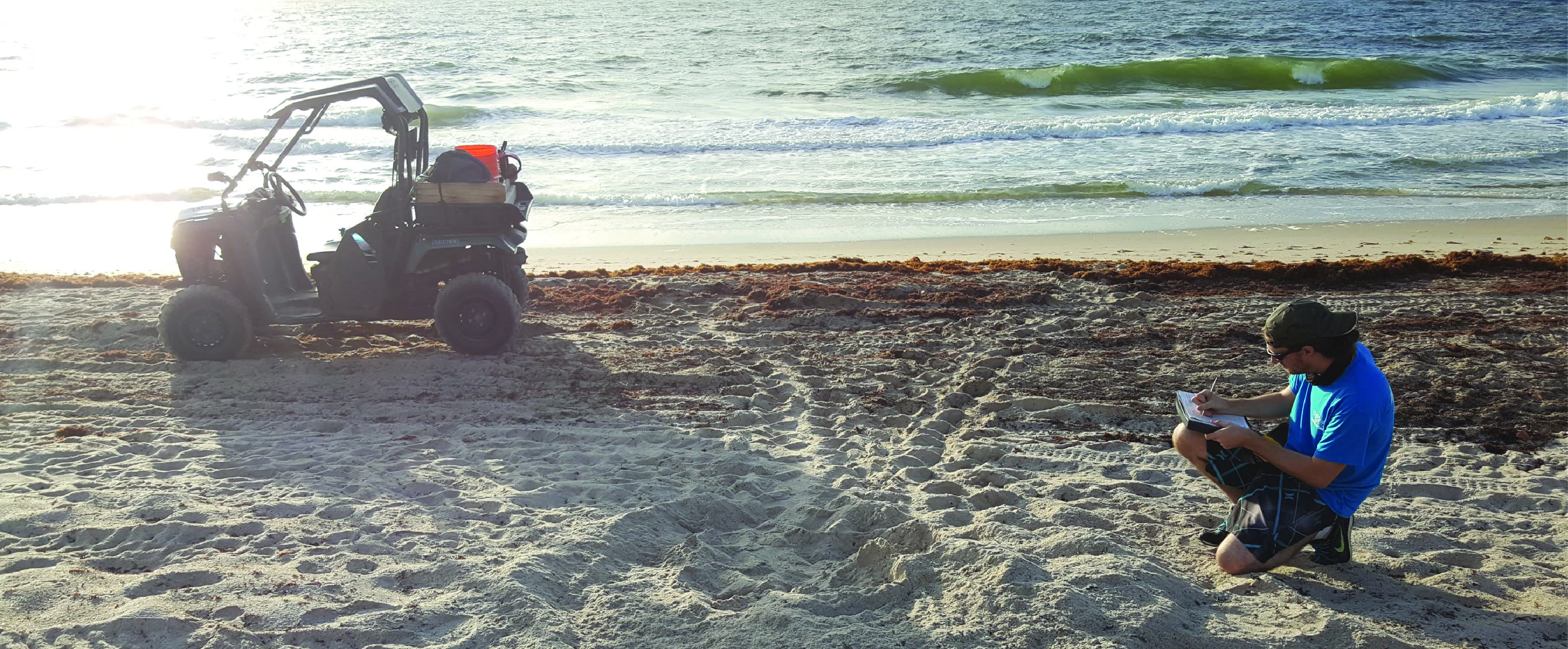 ATV, Surveyor, and Nest on beach