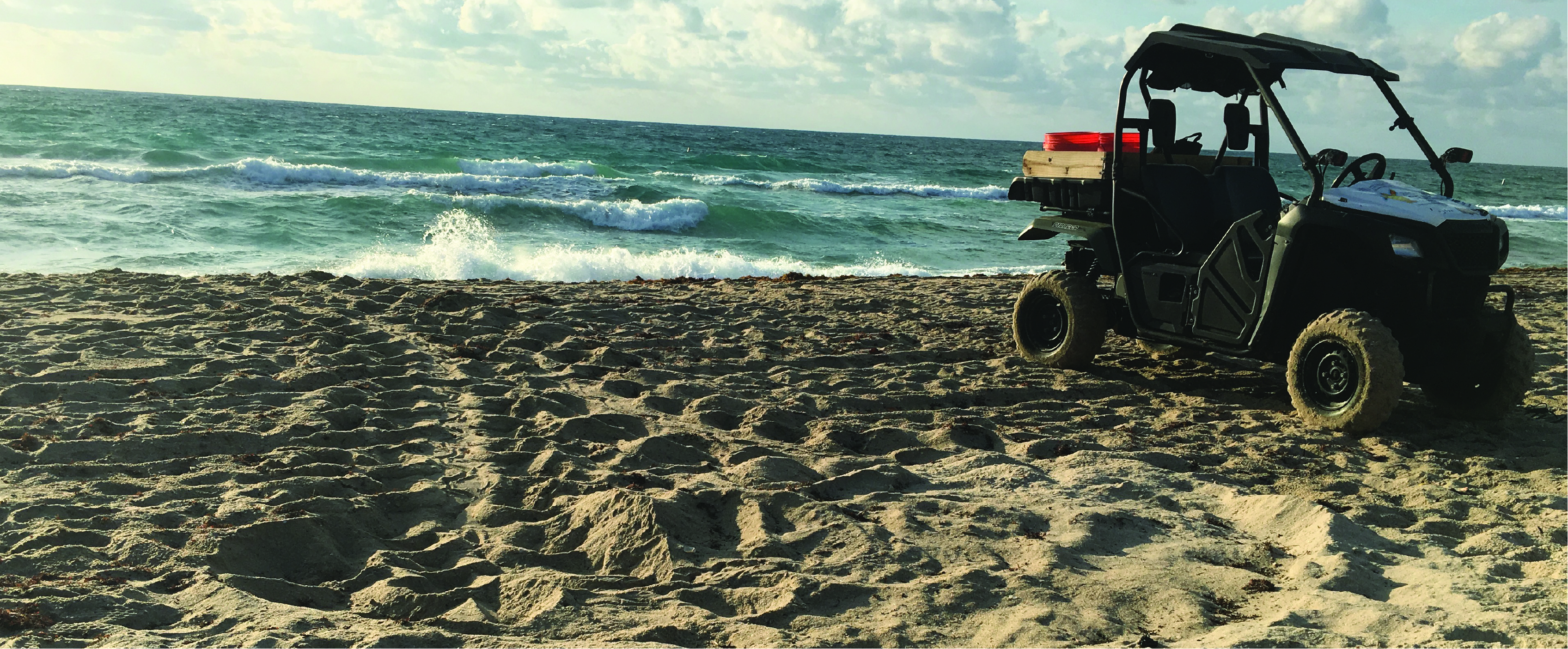 Sea turtle nest and atv on beach