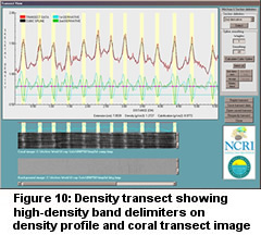 Figure 10: Density Transect showing high-density band delimiters on density profile and coral transect image