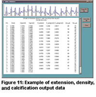 Figure 11: Example of extension, density, and calcification output data