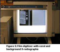 Figure 5: Film digitizer with coral and background X-radiographs