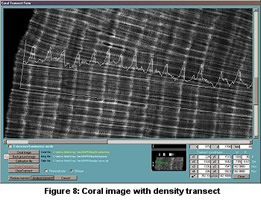 Figure 8: Coral Image with Density Transect